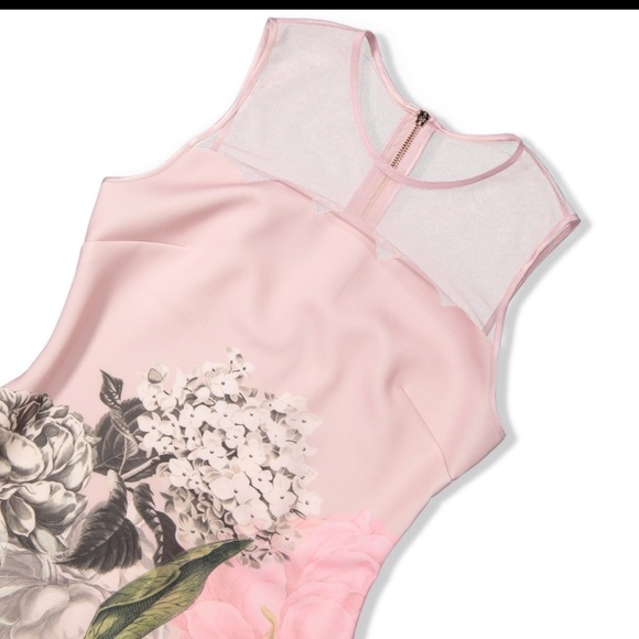 Ted Baker Palace Gardens Scalloped Sheath Dress - Picture 4 of 6